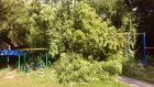 На улице Куйбышева на спортплощадку рухнуло дерево
