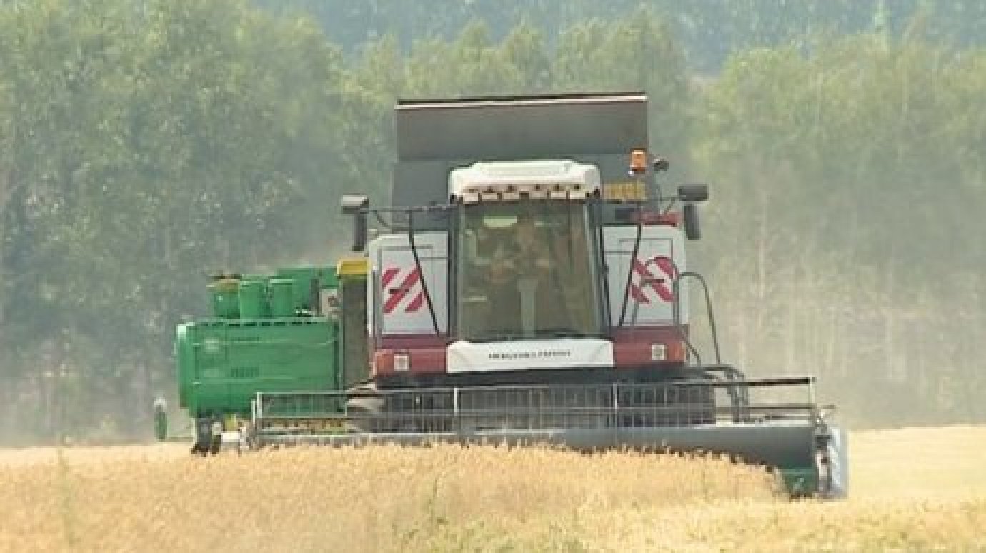 В Пензенской области намолочено 34,4 тысячи тонн зерновых и зернобобовых