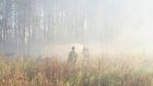 В Пензенской области потушили лесной пожар площадью более гектара