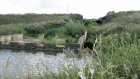 Плотина пруда в Пензенском районе требует капитального ремонта