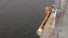 В Пензе подростки продолжают ради развлечения прыгать с моста