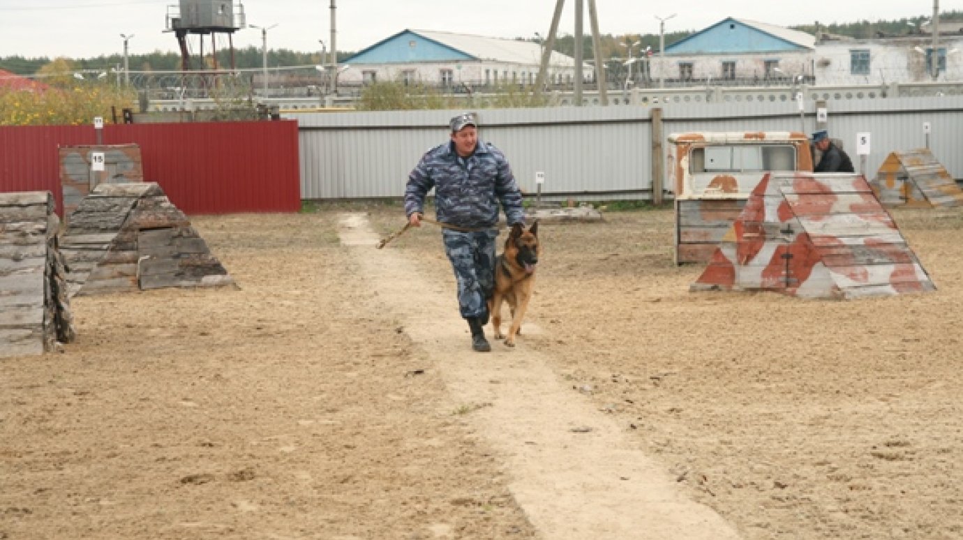 В пензенских колониях прошел конкурс городков служебного собаководства