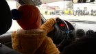 Пензенская четвероклассница сдала экзамен на водительские права
