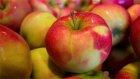 В Бековском районе рабочий задержан за кражу 44 кг яблок