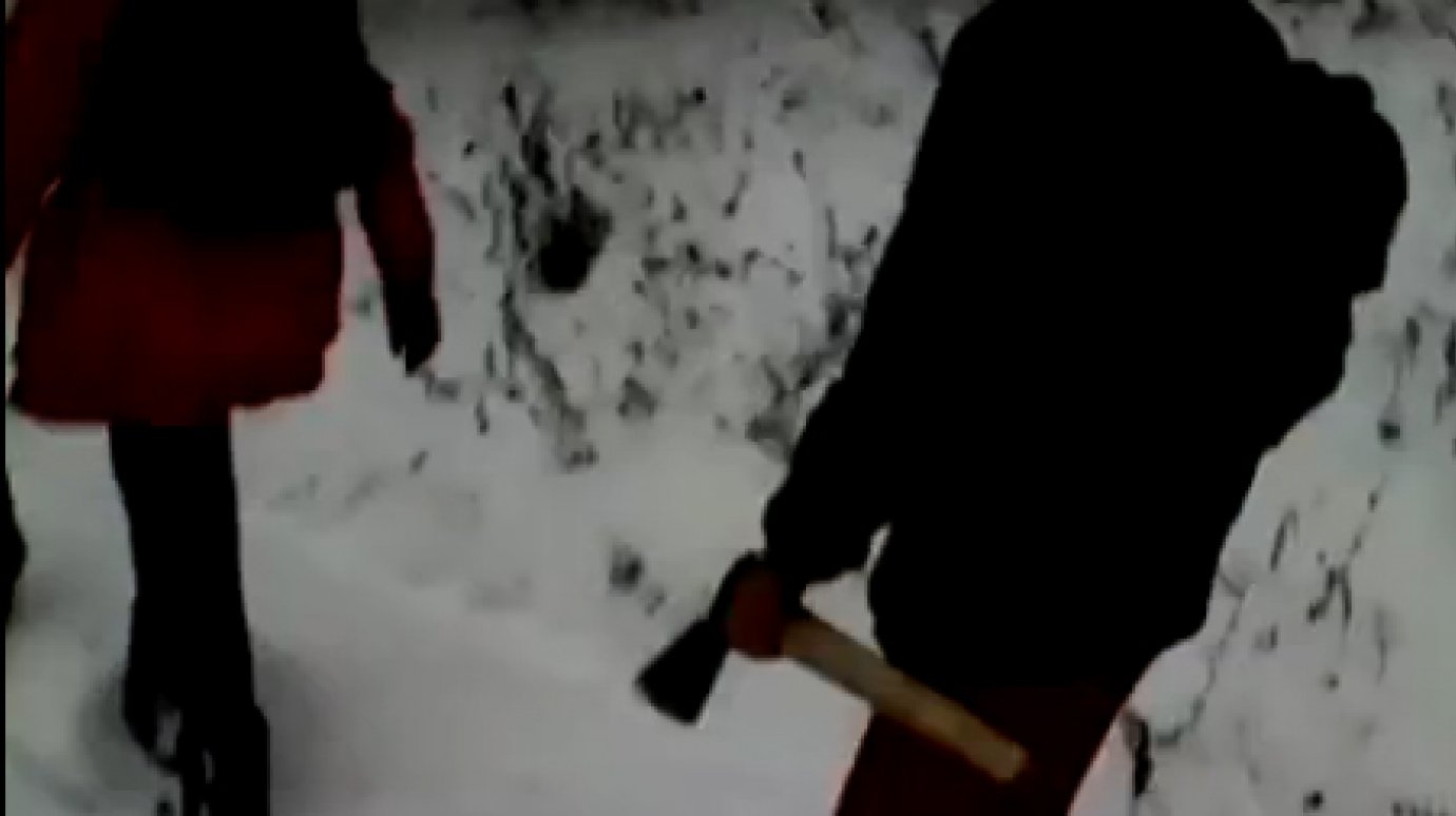 Башкирские дети вооружились топорами для походов в школу