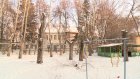 Дом на дереве во дворе на Циолковского помог пензенцам вспомнить детство