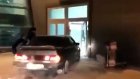 Катавшегося на машине по аэропорту Казани лихача арестовали на 15 суток