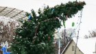 На центральной площади Тамалы хулиганы сломали новогоднюю елку
