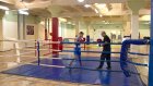 Пензенские боксеры почти год тренируются в чужих залах