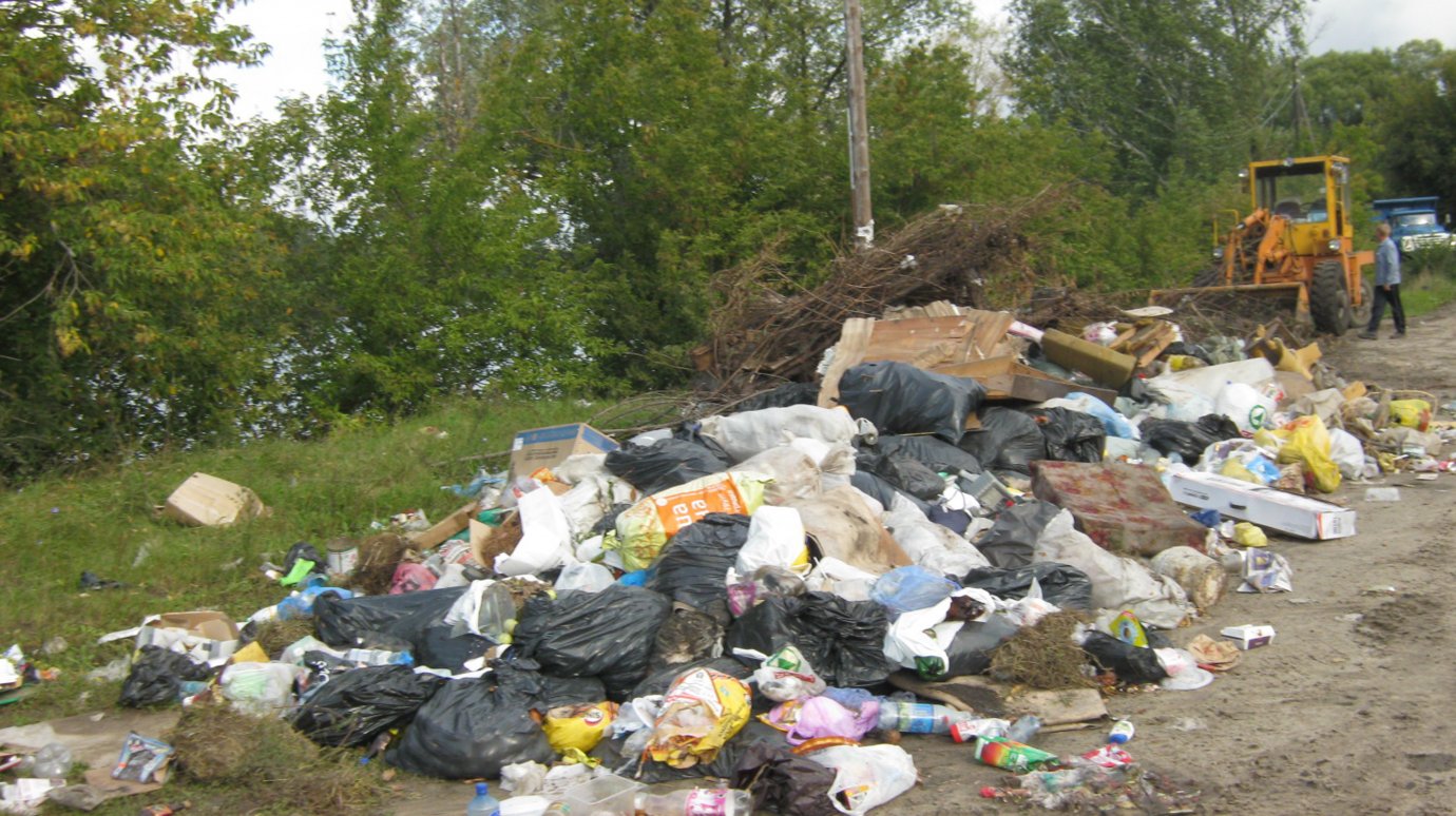 Инвесторы хотят построить в Пензе завод по переработке мусора