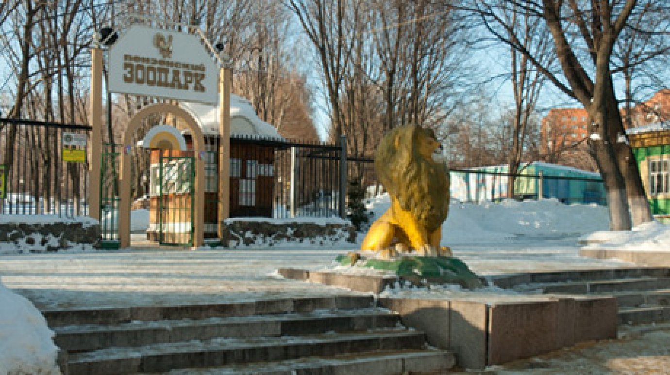 1 января вход в Пензенский зоопарк будет бесплатным