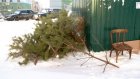 С контейнерных площадок в Пензе уберут нераспроданные елки