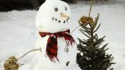 15 семей приняли участие в конкурсе по лепке снеговиков