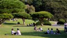Билетер в японском парке испугался и бесплатно пропустил 160 тысяч иностранцев