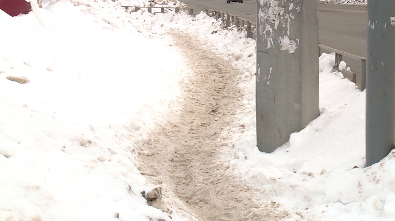 Пожилой пензенец жалуется на заваленный снегом тротуар на Ленина