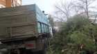 В Первомайском районе Пензы очистили контейнерные площадки от елок