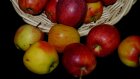 В Каменке полиция задержала 20-летнего похитителя яблок