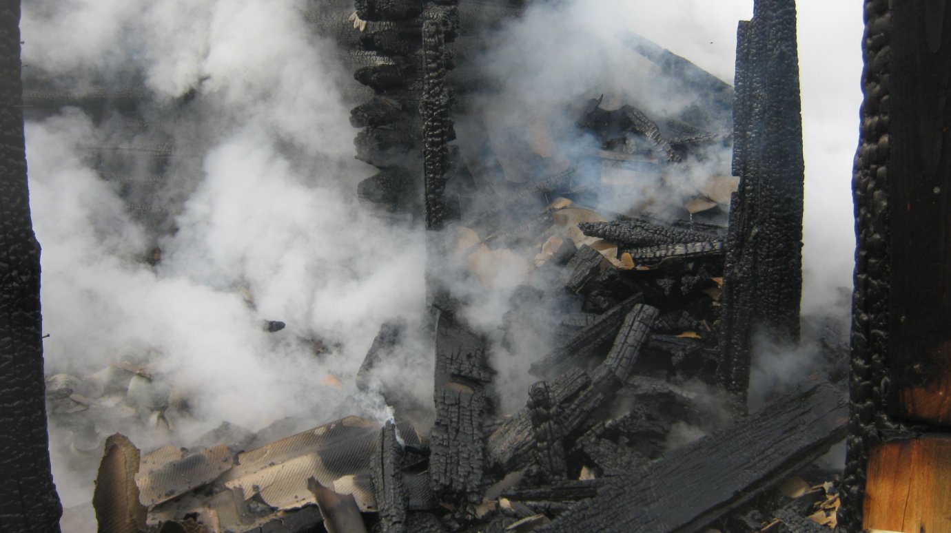 С начала года в Пензенской области в пожарах погибли 20 человек