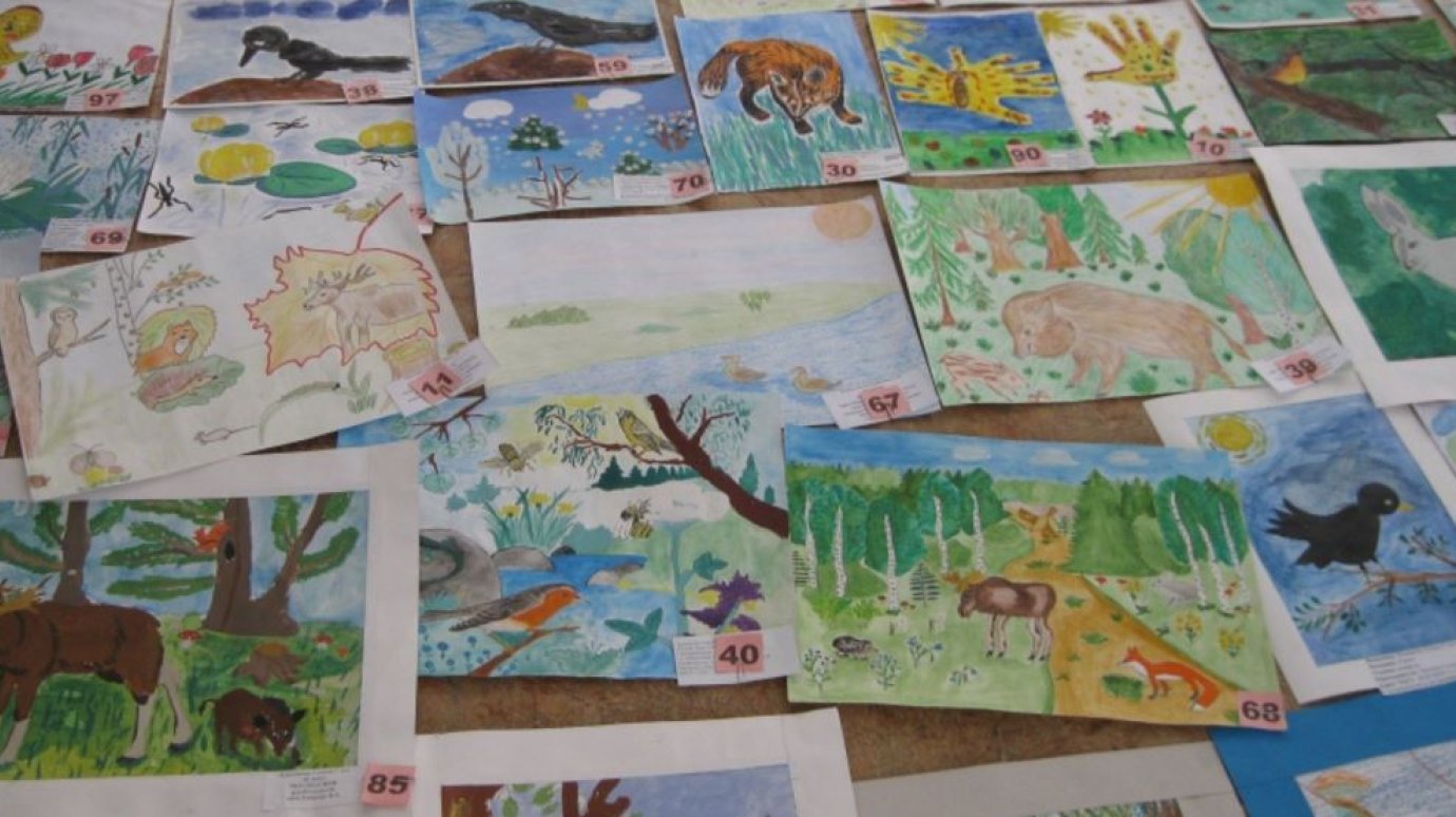 В области проходит конкурс рисунков «Животный мир Сурского края»