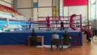 Областные соревнования собрали в Пензе 86 боксеров