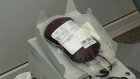 Медицинскую конференцию в Пензе посвятили гемотрансфузии