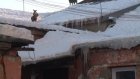 Пензенские депутаты заинтересовались собаками на крыше дома