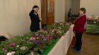 В картинной галерее открылась выставка цветов и овощей