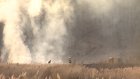 В Пензенской области зафиксировали 12 возгораний сухой травы