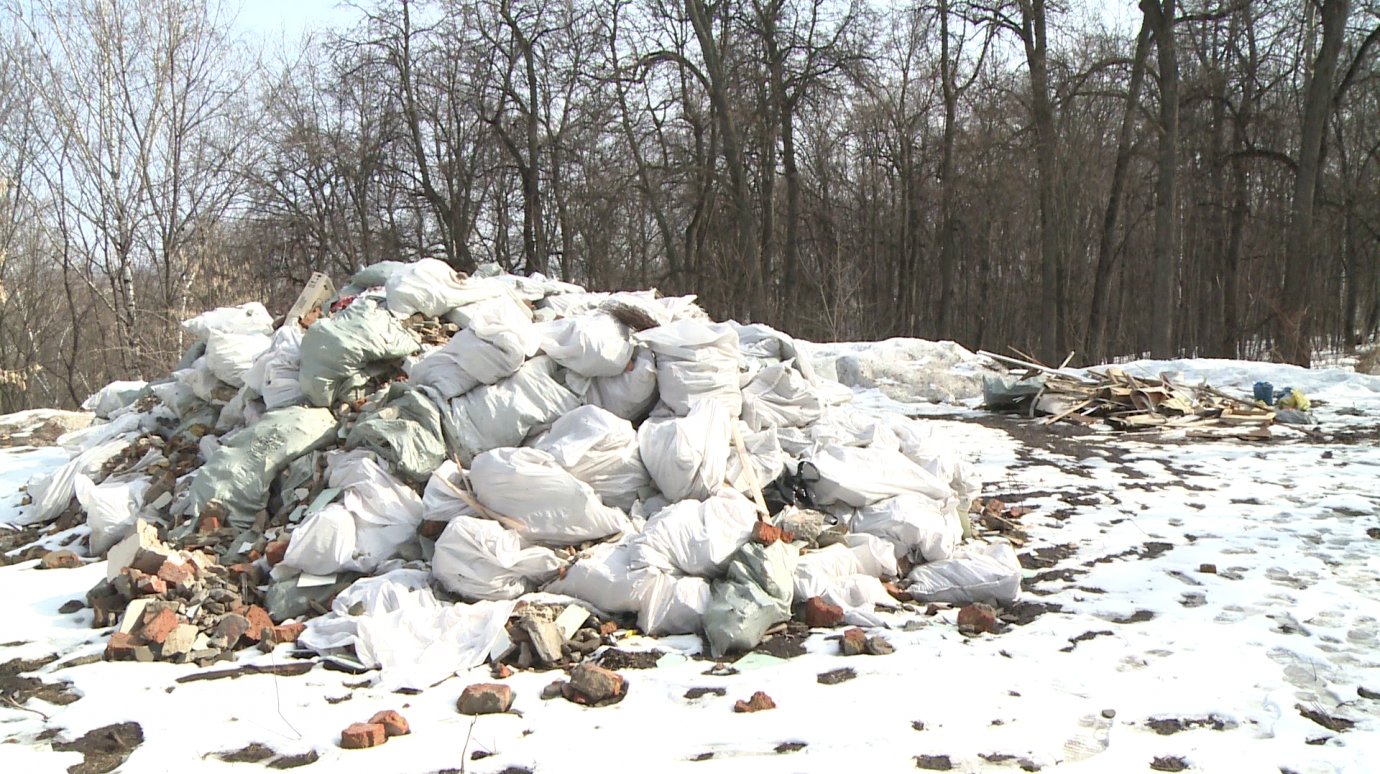 В парке Белинского неизвестные вывалили огромную кучу мусора