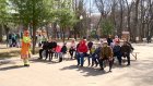 В парке Белинского организовали народные гулянья
