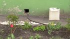 Жители дома на Ладожской возмущены платой за коллективный расход воды
