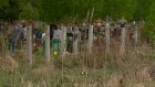 Пензенцы заметили исчезновение забора с Восточного кладбища