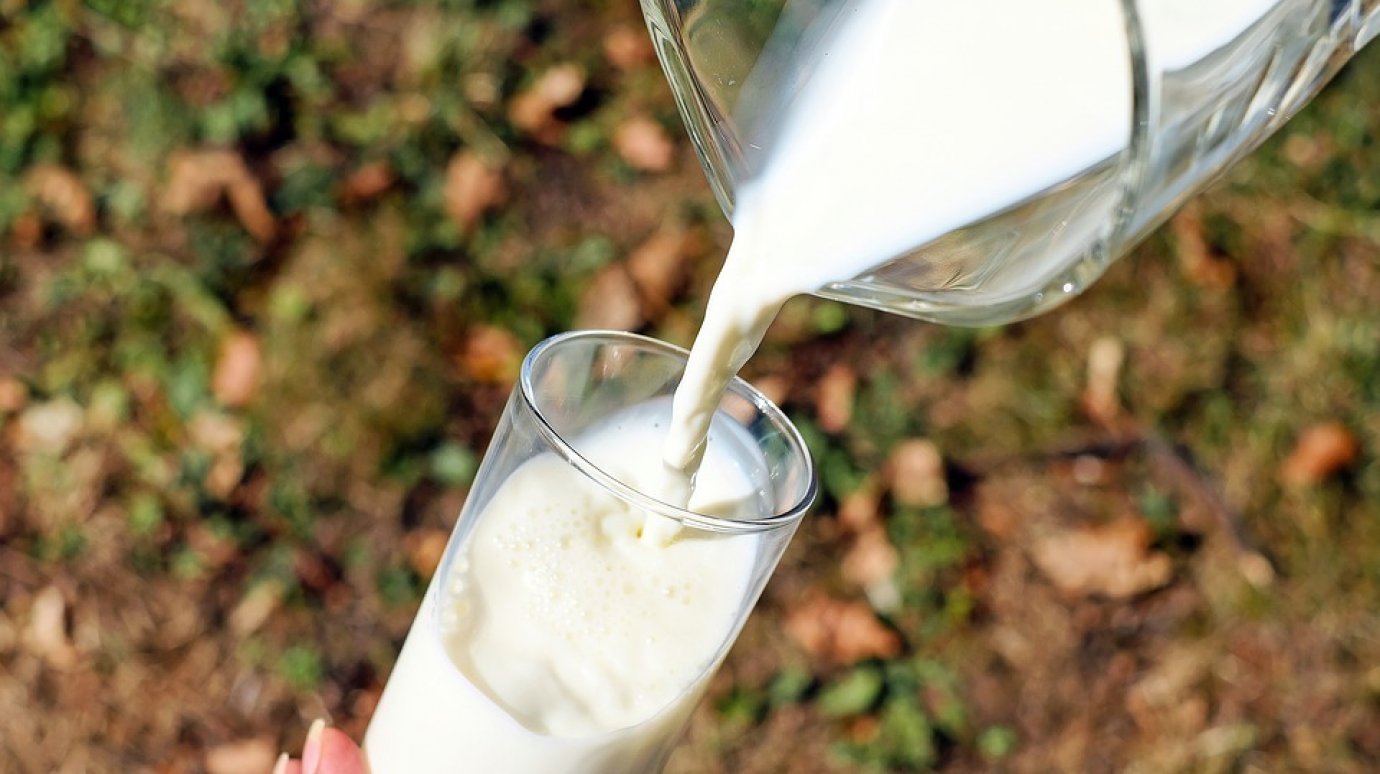 В Наровчатском районе ветврач выдавала ложные справки на молоко