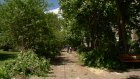 Жители улицы Луначарского добились опиловки каштанов во дворе