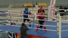В Пензенской области впервые прошли соревнования по тайскому боксу