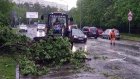 Москвичам в первую ночь лета пообещали повторение урагана