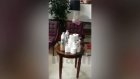 Россияне попытались украсть 14 рулонов туалетной бумаги из турецкого отеля