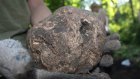 Археологи нашли на Золотаревском городище каменное ядро XIII века