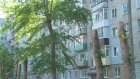 Жители дома на Одесской просят спилить все старые тополя