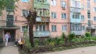 Жители дома № 3 на Карпинского устроили во дворе цветник