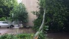 На улице Ударной в Пензе дерево обрушилось на жилой дом