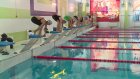 В Пензе стартовал турнир по плаванию памяти Владимира Святченко