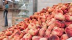 В Новороссийске задержали 90 тонн зараженных турецких персиков