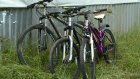 В седьмой раз в Пензе прошел фестиваль велоспорта