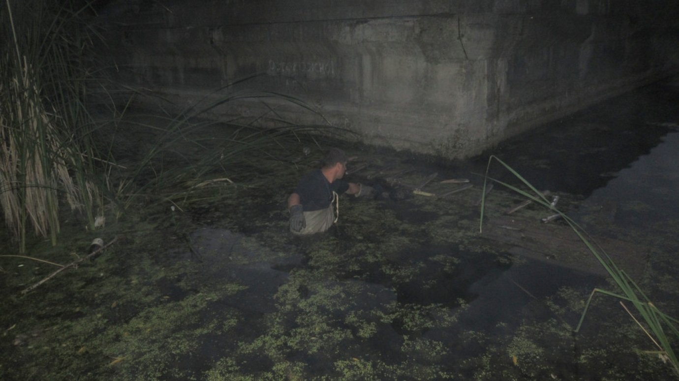 В резервуаре заброшенных очистных сооружений в Пензе обнаружен труп