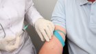 В Пензенской области за полгода ВИЧ-инфекцию выявили у 230 человек