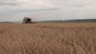 Сельхозпроизводители региона планируют собрать более 2 млн тонн зерна