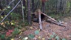 Попавший в медвежью ловушку рыбак погиб в Иркутской области