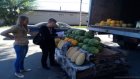 В Пензе торгуют арбузами и дынями в неустановленных местах