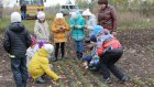 В Пензенской области в 14-й раз пройдет слет школьных лесничеств
